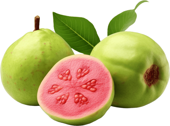 Guava Fruit Powder
