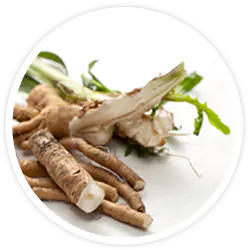Inulin