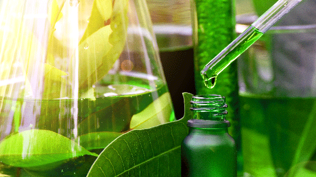 Plant-Based Extracts