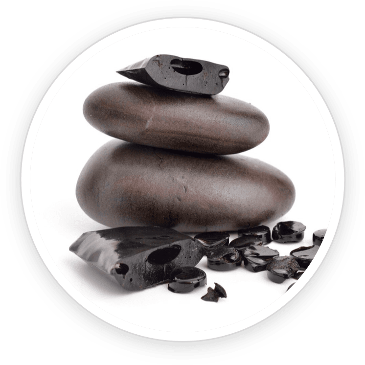 Shilajit Extract